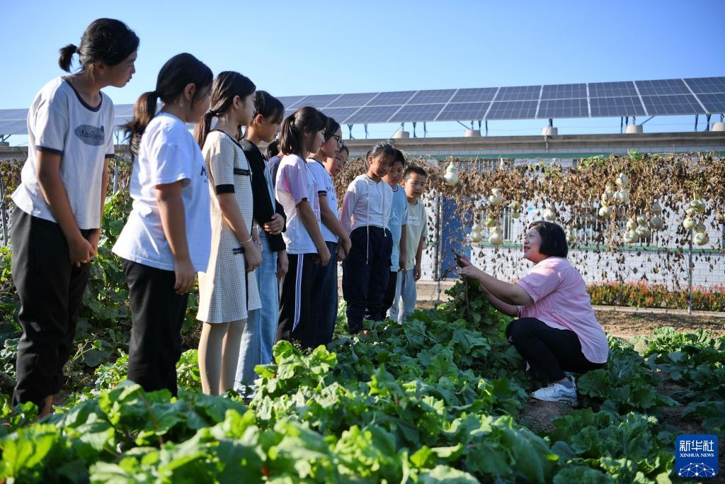 澳门新普京官网